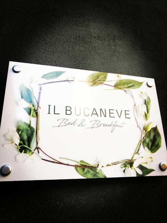 "B&B Il Bucaneve" Turin Extérieur photo